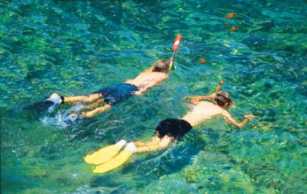 Catalina Island Snorkelers