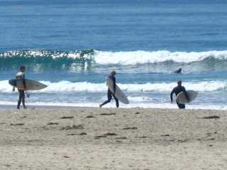 Dana Point Surfers