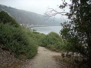 Rincon Point entrance path on a foggy day