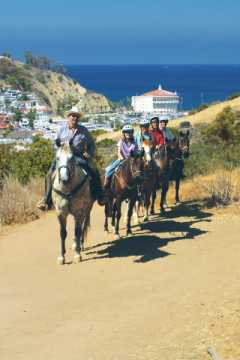 Horeback riding on Catalina Island