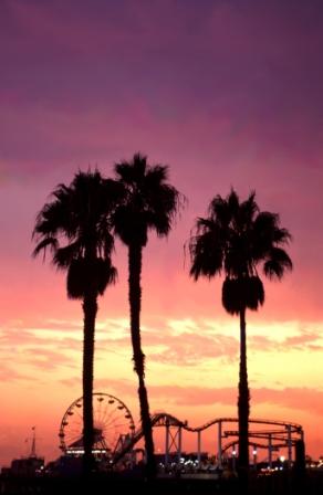 Santa Monica Sunset Palms 