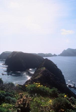 Anacapa Island arches